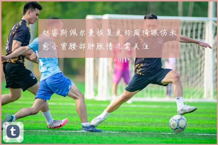 赵睿斯佩尔曼恢复良好周琦眼伤未愈小曾腰部肿胀情况需关注